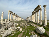 Syria - Feb 2023