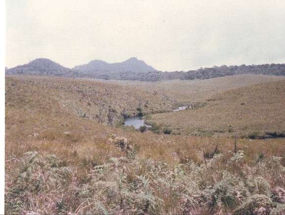 The highlands