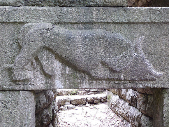 Lion attack on a cow, Butrint