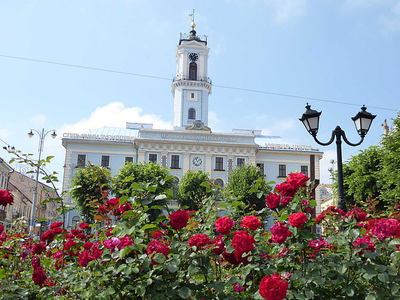 Town hall and roses, Chernivtsi