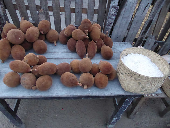 Fruit of the baobab tree