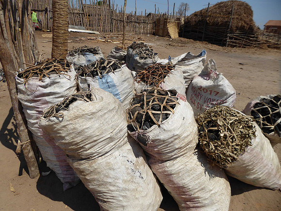 Charcoal, the scourge of Madagascar
