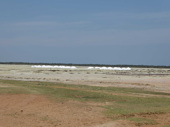 Harvesting salt, near Belo Sur Mer
