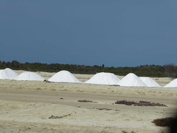 Harvesting salt, near Morondava