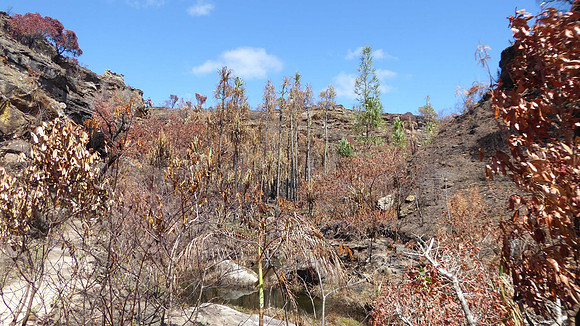 Scorched hillsides, due to arson