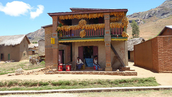 Maize hanging out to dry