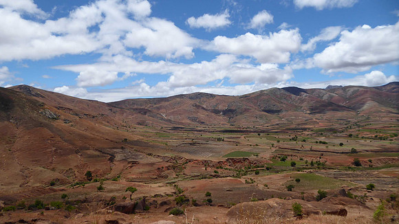 Desolate landscapes, where once there were trees..