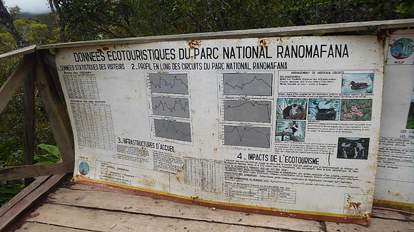 Ranomafana National Park