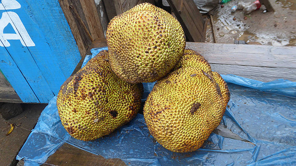Jack fruit