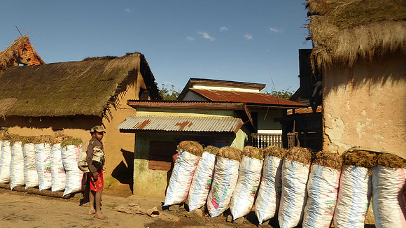 96% of Malagasy households use charcoal for cooking