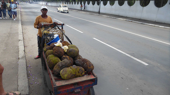 Jack fruit hawker