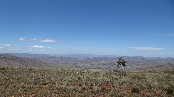 Typical landscape, between Tana and Majunga