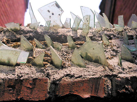 ubiquitous sight of broken glass atop walls