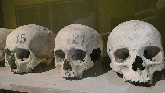 Skulls recovered from the ruins of Pompei