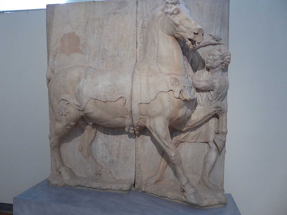 Horse draped with leopard skin