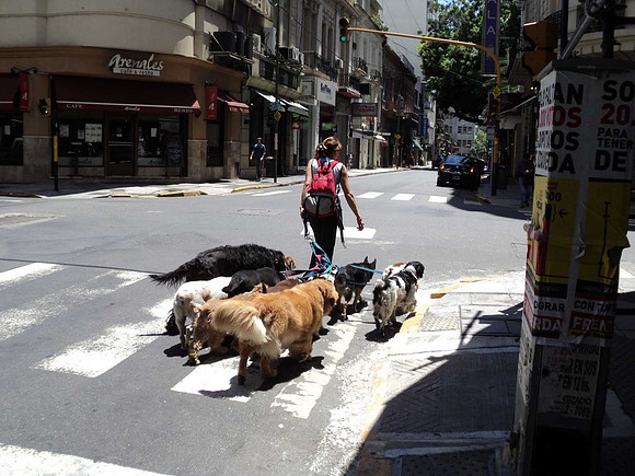 Dog walkers,