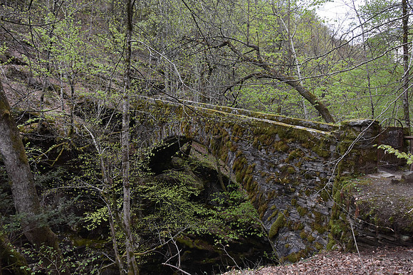 Wooded area at foot of mountain near Linescio hamlet