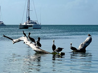 Belize - January 2024