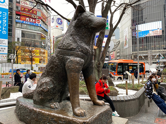 忠犬ハチ公 - Hachiko statue Shibuya