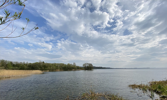 Lough Ennell, near Mullingar